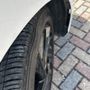 Tire Kingdom
