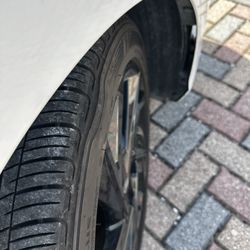 Tire Kingdom