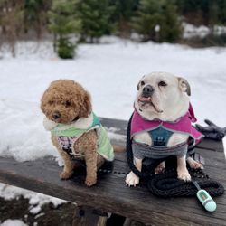 Gold Creek Pond - They also went on a snow hike!