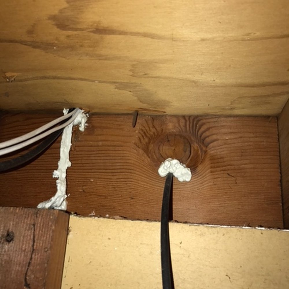 Gottem Rodent Proofing - Work done by Rick & team in June, 2017 - Pest Control Near Me