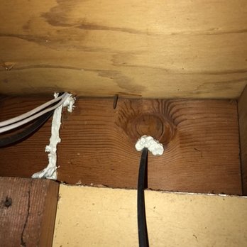 Gottem Rodent Proofing - Work done by Rick & team in June, 2017 - Pest Control Near Me