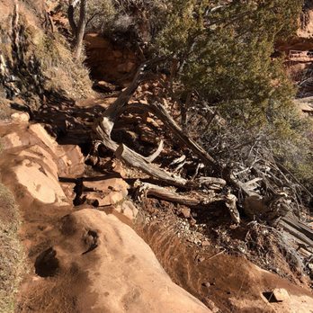 Canyon Overlook Trail - Hiking Near Me - Springdale, Utah
