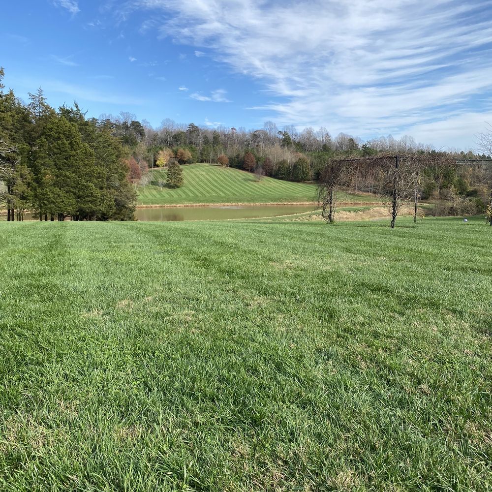 Castle Hill Cider - Cideries Near Me - Keswick, Virginia Castle Hill Cider - Cideries Near Me - Keswick, Virginia