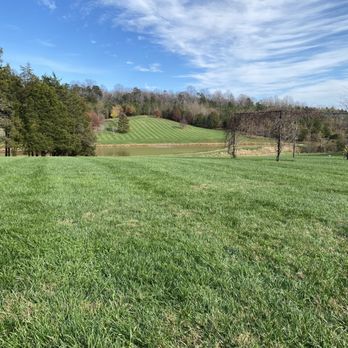 Castle Hill Cider - Cideries Near Me - Keswick, Virginia