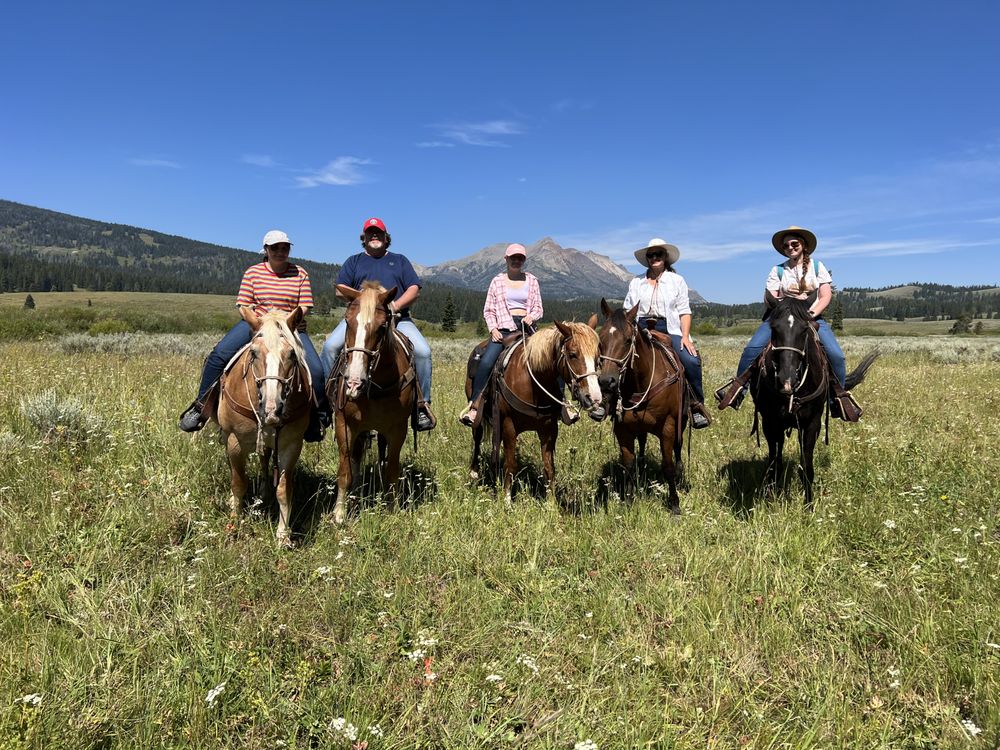 Horsetrack Outfitters Logo