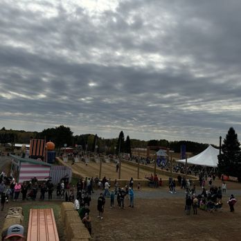 Pinehaven Farm - View from the big slide - Venues & Event Spaces Near Me - Wyoming, Minnesota Pinehaven Farm - View from the big slide - Venues & Event Spaces Near Me - Wyoming, Minnesota