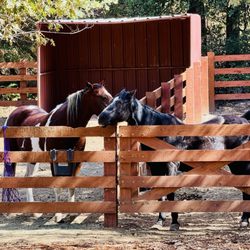 The Stables - Sacred Mountain - Love