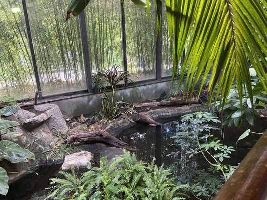 Connecticut's Beardsley Zoo by null
