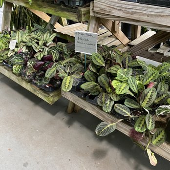 State Farmers Market - Farmers Market Near Me - Raleigh, North Carolina State Farmers Market - Farmers Market Near Me - Raleigh, North Carolina