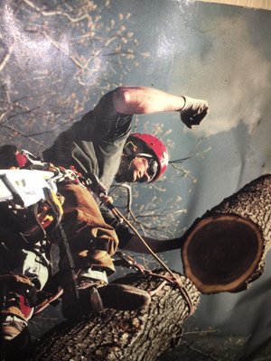 No job too small or big - Stump removal, tree trimming, big and small, I can handle it all No job too small or big - Stump removal, tree trimming, big and small, I can handle it all
