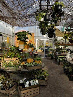 Maypop Coffee & Garden Shop by null