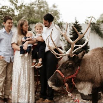 Rudolph Reindeer Rentals - Petting Zoos Near Me Rudolph Reindeer Rentals - Petting Zoos Near Me