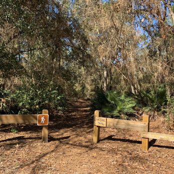 Crews Lake Wilderness  Park - Jan 2020- one of many hiking trails - Parks Near Me - Spring Hill, Florida