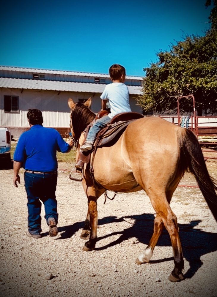 Dolce Holistic Horsemaship - equestrian in Kerrville, TX