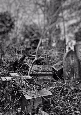 Abney Park Cemetery Trust by null