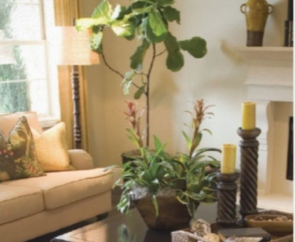 ARC CLEANING SERVICES Request a Quote Manassas, Virginia Home Cleaning Phone Number Yelp