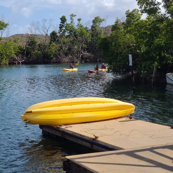 Virgin Islands Ecotours - Tours Near Me - St Thomas, Virgin Islands