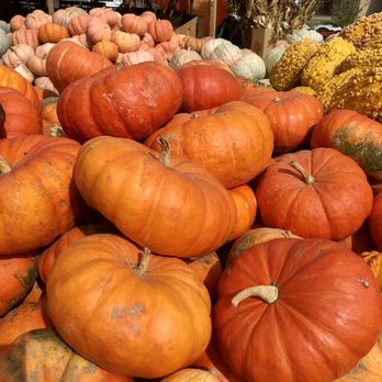 Lil Brian's Produce Market - Decorative pumpkins and gourdes - Grocery Near Me - Theodore, Alabama