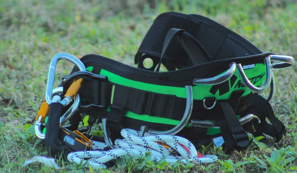 Tree Work Now - tree service in Orlando, FL