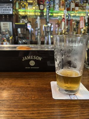The Dubliner by null