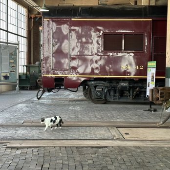 North Carolina Transportation Museum - Museum cat! - Museums Near Me - Spencer, North Carolina North Carolina Transportation Museum - Museum cat! - Museums Near Me - Spencer, North Carolina
