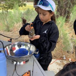 Camp Woodcraft
