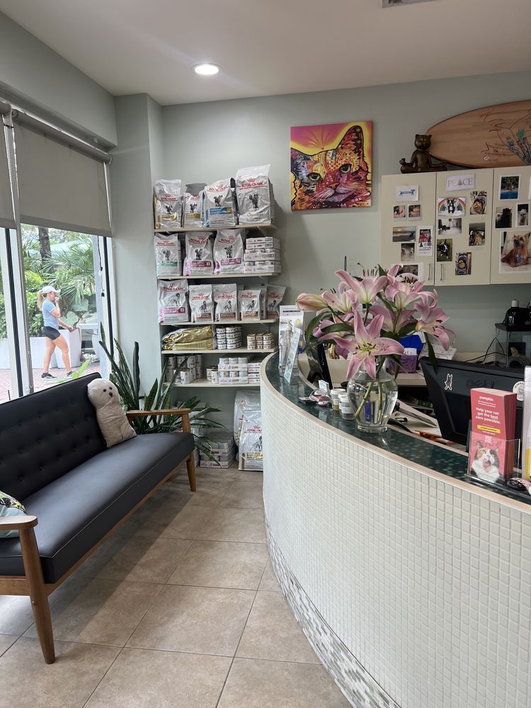 Miami Beach Animal Wellness and Specialty Center Image