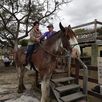 Double Flush Stables - Horseback Riding Near Me - Davie, Florida Double Flush Stables - Horseback Riding Near Me - Davie, Florida
