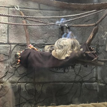 Wildlife Learning Center - Sleeping sloth - Zoos Near Me - Sylmar, California