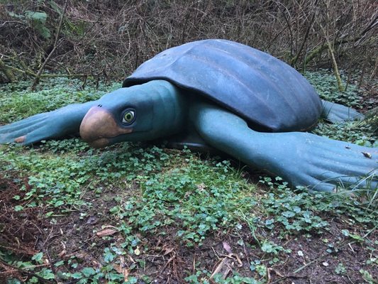 Prehistoric Gardens by null