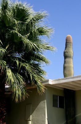 Hope Springs Resort by null