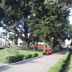 Jardín Botánico
