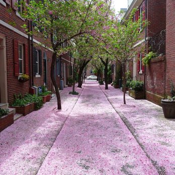 Brenda Beiser - Redfin - Spring in Philadelphia - Real Estate Agents Near Me - Philadelphia, Pennsylvania