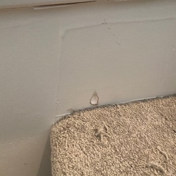 Carpet Mill Outlet Stores - a close up of a corner - Carpeting Near Me - Lakewood, Colorado