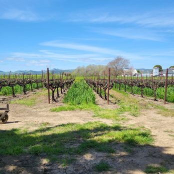 Tolenas Winery - Wine Tasting Room Near Me - Fairfield, California