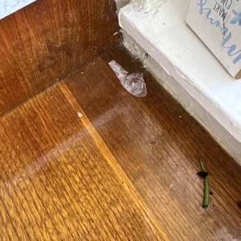 Vero's House Cleaning - Dead bugs! - Home Cleaning Near Me Vero's House Cleaning - Dead bugs! - Home Cleaning Near Me