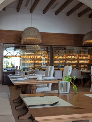 Majestic Elegance Costa Mujeres by null