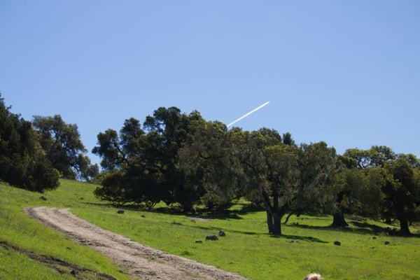Taylor Mountain Regional Park by null