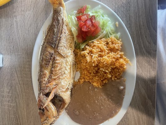 Guadalajara Mexican Restaurant by null