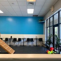 The Pink Poodle Spa Boutique - Big indoor dog park - free wifi and sitting for humans