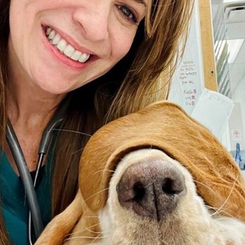 Caring Hands Animal Hospital - Bristow - Veterinarians Near Me - Bristow, Virginia Caring Hands Animal Hospital - Bristow - Veterinarians Near Me - Bristow, Virginia
