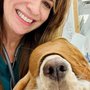 Photo of Caring Hands Animal Hospital - Bristow