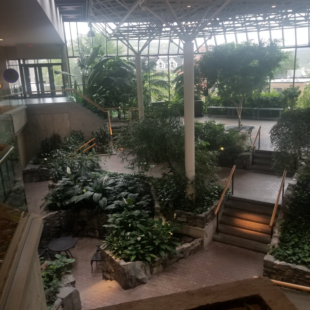 Sheraton Hotel Newfoundland - Hotels Near Me - St. Johns, Newfoundland and Labrador