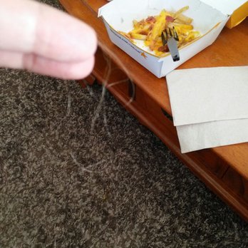 Carl's Jr - This is the ball of hair in our fries - Fast Food Near Me - Bellflower, California Carl's Jr - This is the ball of hair in our fries - Fast Food Near Me - Bellflower, California