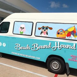 The Beach Bound Hound
