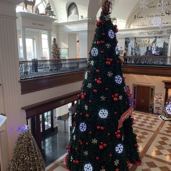 Indiana Historical Society - A few of the trees. - Museums Near Me - Indianapolis, Indiana Indiana Historical Society - A few of the trees. - Museums Near Me - Indianapolis, Indiana
