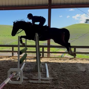 Kelly Maddox Training - Horseback Riding Near Me - Pleasanton, California Kelly Maddox Training - Horseback Riding Near Me - Pleasanton, California