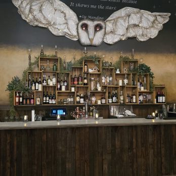 The Night Owls Bar and Speakeasy