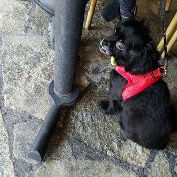 Paul's Place - Chilling with my girls waiting for food on the patio. - Diners Near Me - Anaheim, California