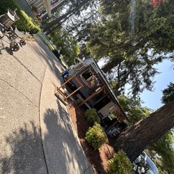 Le Torito - Cart